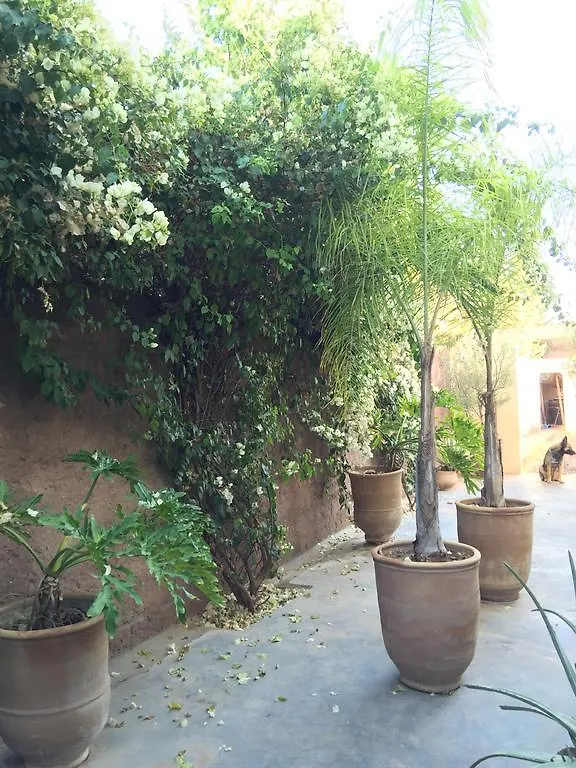 Villa Cosy Douar Touggana Marrakesz Dom wakacyjny
